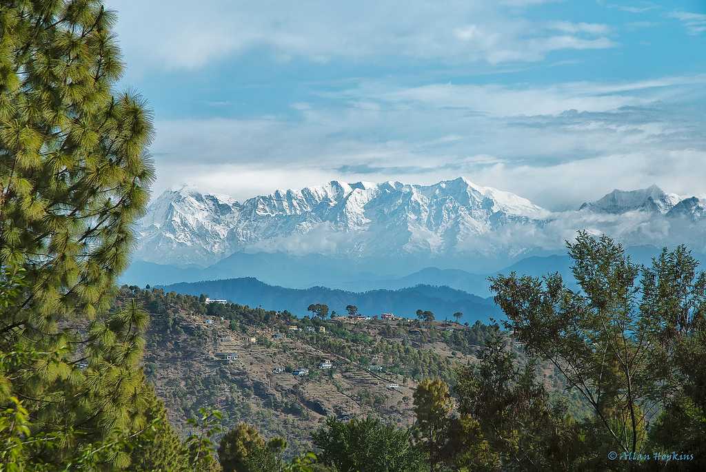 almora