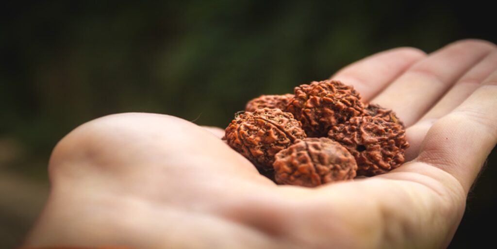 Best Rudraksha for Mental Peace