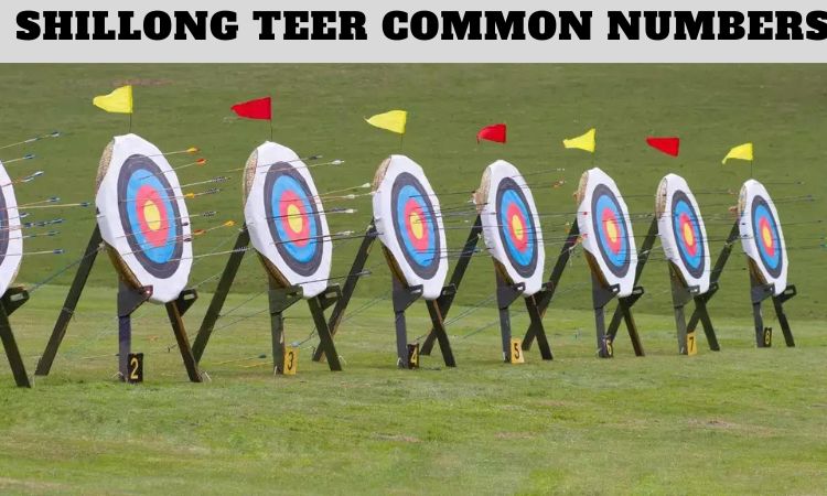 Shillong Teer Common Numbers