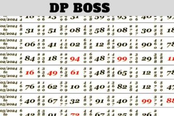 DP Boss