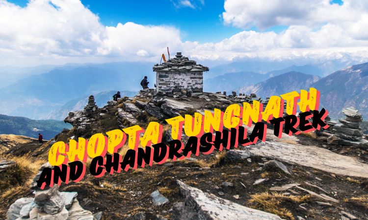 Chopta Tungnath and Chandrashila Trek