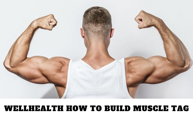 Wellhealthorganic’s Guide To Building Muscle: A Step-By-Step Approach