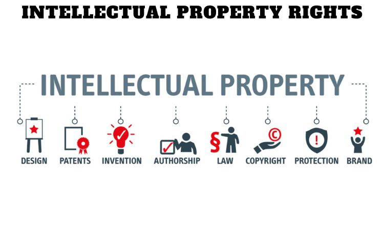 Intellectual Property Rights