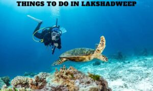 Things to Do in Lakshadweep