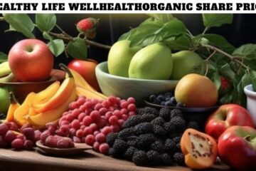 Healthy Life Wellhealthorganic Share Price
