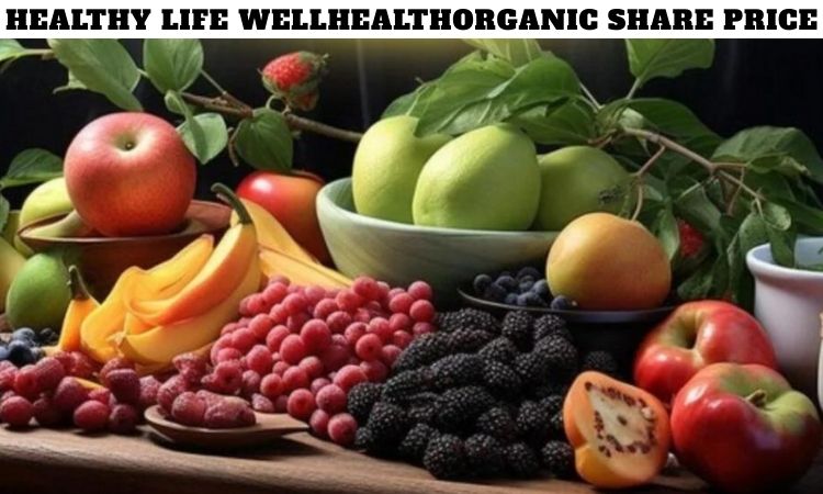 Healthy Life Wellhealthorganic Share Price
