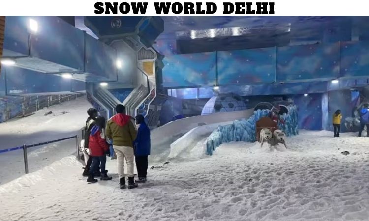 Snow World Delhi