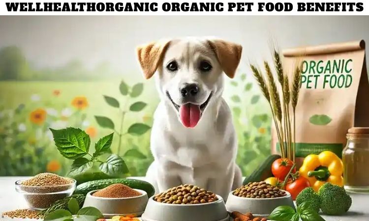 Wellhealthorganic Organic Pet Food Benefits