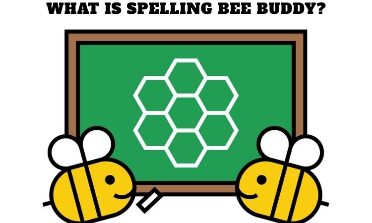 What is Spelling Bee Buddy